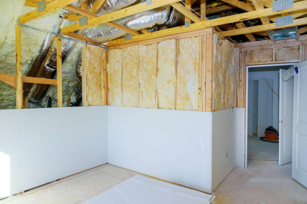 Best Insulation Contractor Near Me  in Gaylord, MN