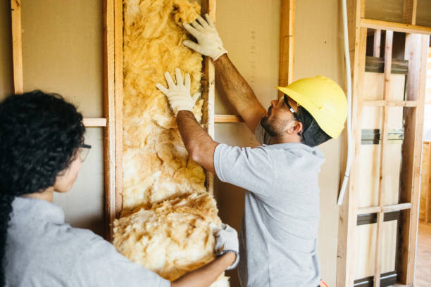 Best Best Insulation Companies  in Gaylord, MN